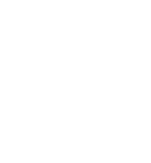 virgolette 2
