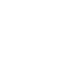 virgolette